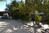 Enlarge photo 55