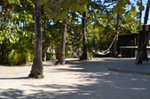 Enlarge photo 57