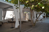 Enlarge photo 59