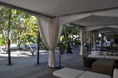 Enlarge photo 62