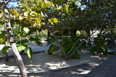 Enlarge photo 63