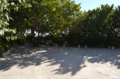 Enlarge photo 72