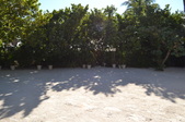 Enlarge photo 73