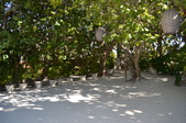 Enlarge photo 76