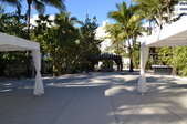 Enlarge photo 80