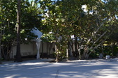Enlarge photo 83