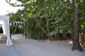 Enlarge photo 85