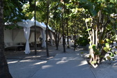 Enlarge photo 86