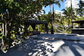 Enlarge photo 87