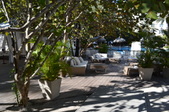 Enlarge photo 88