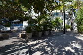 Enlarge photo 89
