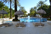 Enlarge photo 113