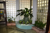 Enlarge photo 118