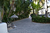 Enlarge photo 120