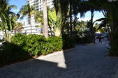 Enlarge photo 122