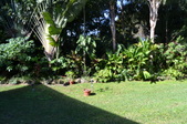 Enlarge photo 27