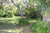 Enlarge photo 31