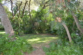 Enlarge photo 33