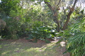 Enlarge photo 34