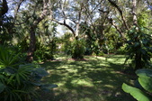 Enlarge photo 37