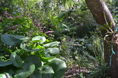 Enlarge photo 38