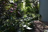 Enlarge photo 39
