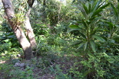 Enlarge photo 40