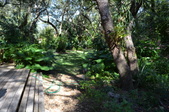 Enlarge photo 41
