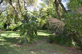 Enlarge photo 42