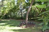 Enlarge photo 43