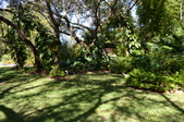 Enlarge photo 45