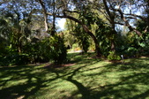 Enlarge photo 46