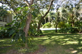 Enlarge photo 47