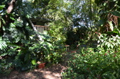 Enlarge photo 49