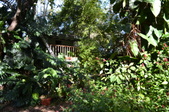 Enlarge photo 50