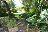 Enlarge photo 54