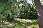 Enlarge photo 55
