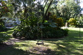 Enlarge photo 56