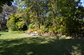 Enlarge photo 58
