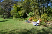 Enlarge photo 61
