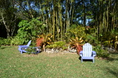 Enlarge photo 62