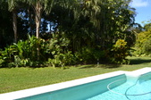 Enlarge photo 71