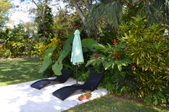 Enlarge photo 73