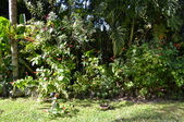 Enlarge photo 76