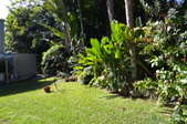 Enlarge photo 77