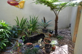 Enlarge photo 78