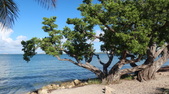 Enlarge photo 33