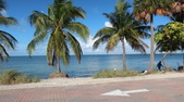 Enlarge photo 36