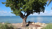 Enlarge photo 38