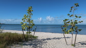 Enlarge photo 41